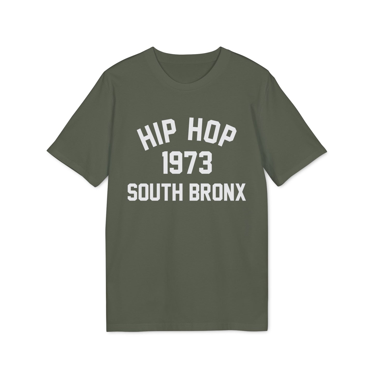 Hip Hop 1973 Bio-T-Shirt (Premium Qualität)