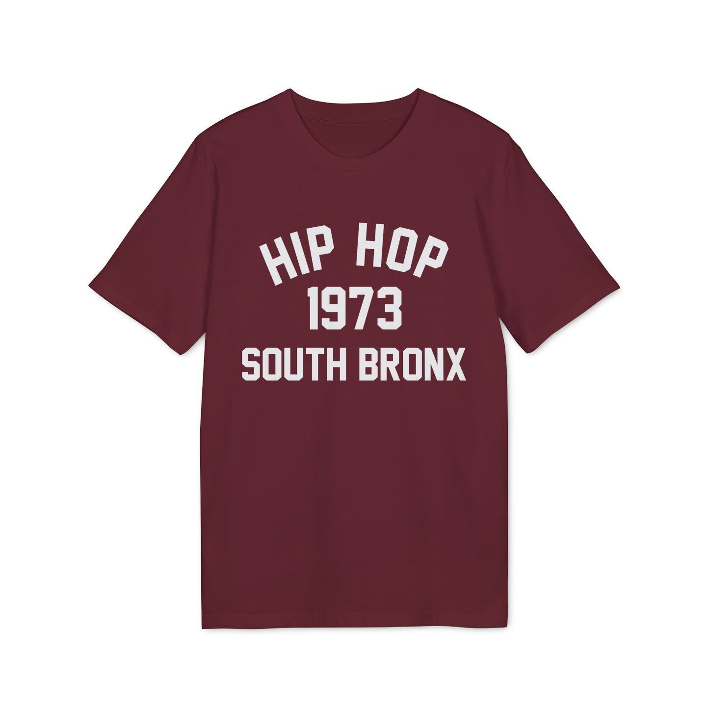 Hip Hop 1973 Bio-T-Shirt (Premium Qualität)